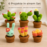 Sechs gehäkelte Kakteen- und Sukkulentenprojekte mit dem Text 6 Projekte in einem Set